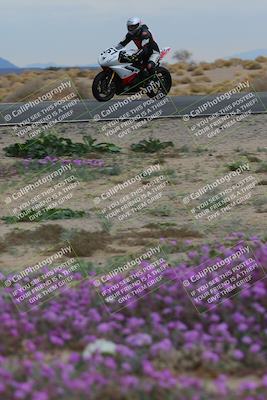 media/Jan-14-2023-SoCal Trackdays (Sat) [[497694156f]]/Turn 14 Exit Bloomig (145pm)/